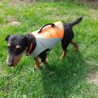 Schwimmweste für Hunde