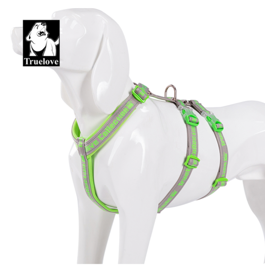 Truelove Doppel H Harness Neopren Polsterung Langlebige Starke Reflektierende Gow in die Dark Aluminium Legierung Fitting Licht Gewicht TLH6571