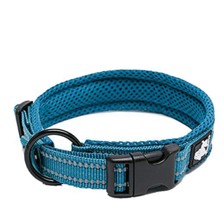 Truelove Haustier Hund Kragen Nylon Einstellbare Gurtband Padded Weiche Reflektierende Durable Heavy Duty Training nach luxus Katze TLC5011