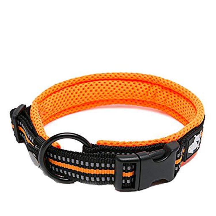 Truelove Haustier Hund Kragen Nylon Einstellbare Gurtband Padded Weiche Reflektierende Durable Heavy Duty Training nach luxus Katze TLC5011