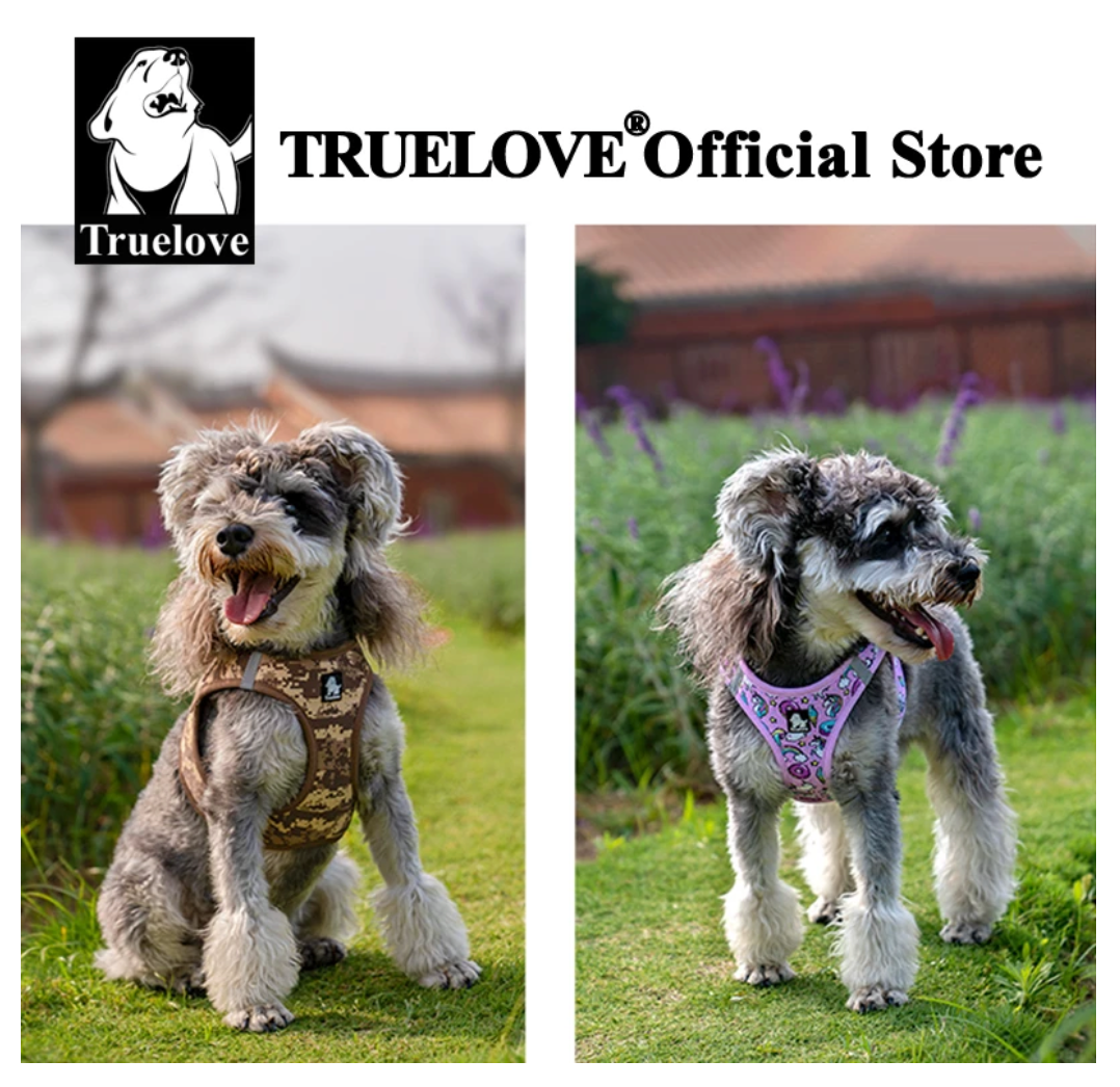 Truelove Haustier geschirr Soft Air Mesh verstellbare reflektierende Haustier weste kleine und mittlere Rassen kein Zug verstellbares Hunde geschirr tlh3016