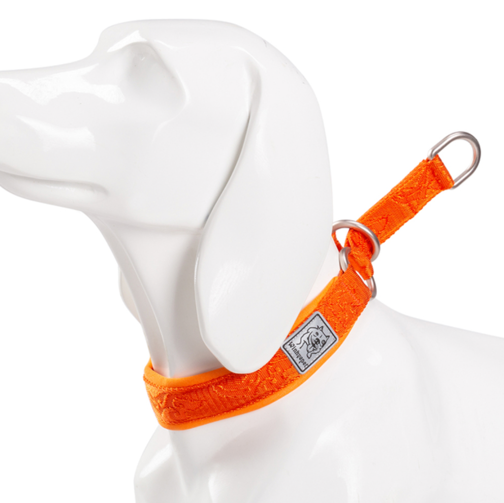 TRUELOVE Verstellbare, Gepolsterte Haustier Hund CollarComfort und Belüftung Pull-beständig Explosion proof Personalisierte Druck YC1853