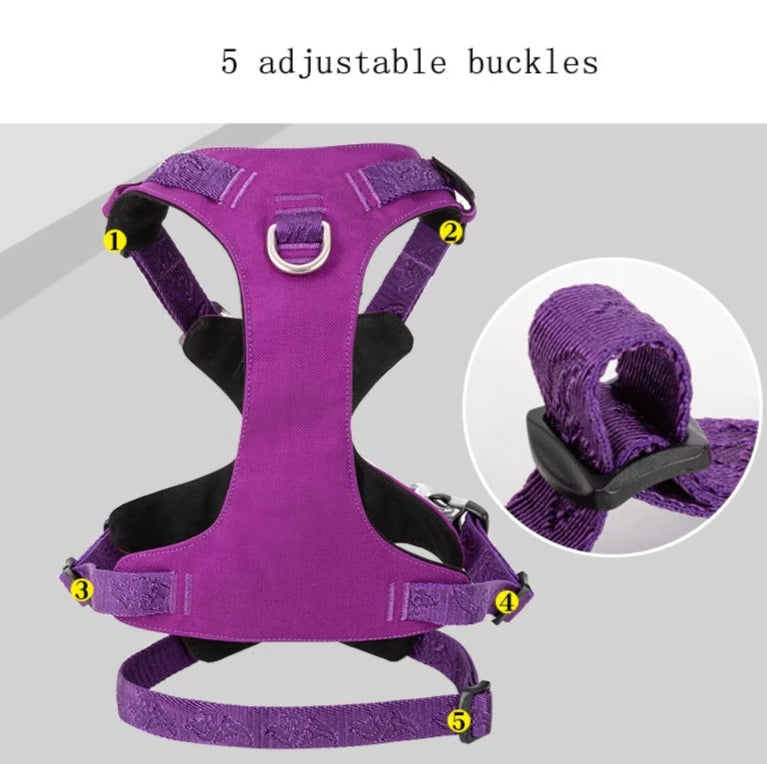 TRUELOVE Pet Nylon Harness Licht-gewicht Doppel-H Form Stickerei 5 Einstellbaren Positionen Mittlere und Große Hund Wasserdicht YH1807