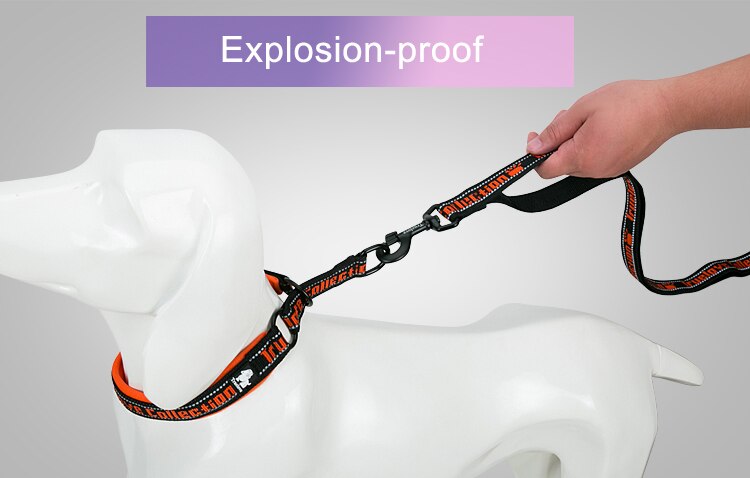 Truelove Pet Leine Nylon Explosion-proof Reflektierende für Katze und Hund Kleine Medium Große Reise Kreuz Walking Training TLL3071
