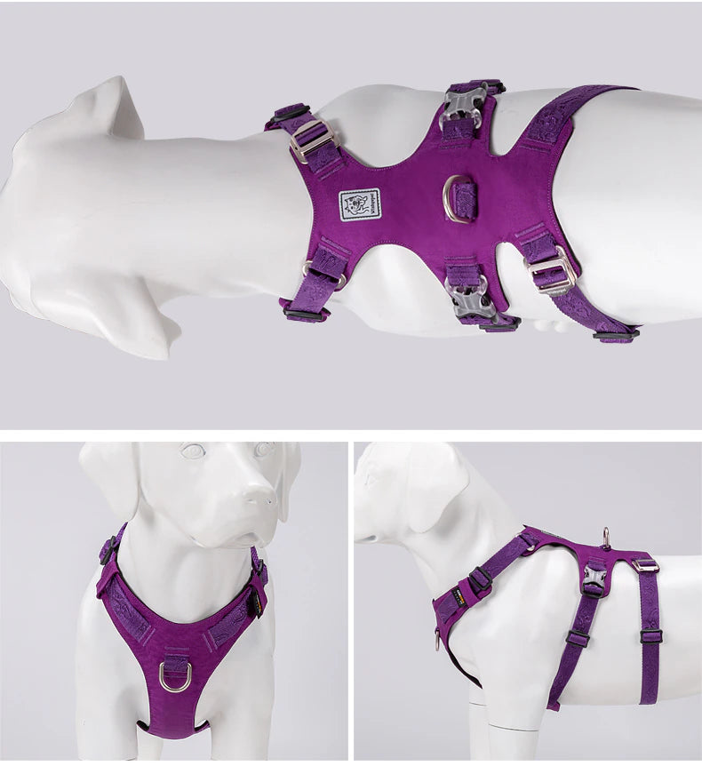 Ultraleichtes Doppel-H-Hundegeschirr Cordura