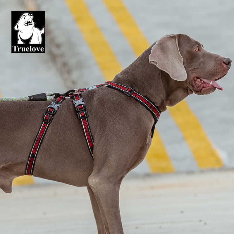 Truelove Doppel H Harness Neopren Polsterung Langlebige Starke Reflektierende Gow in die Dark Aluminium Legierung Fitting Licht Gewicht TLH6571