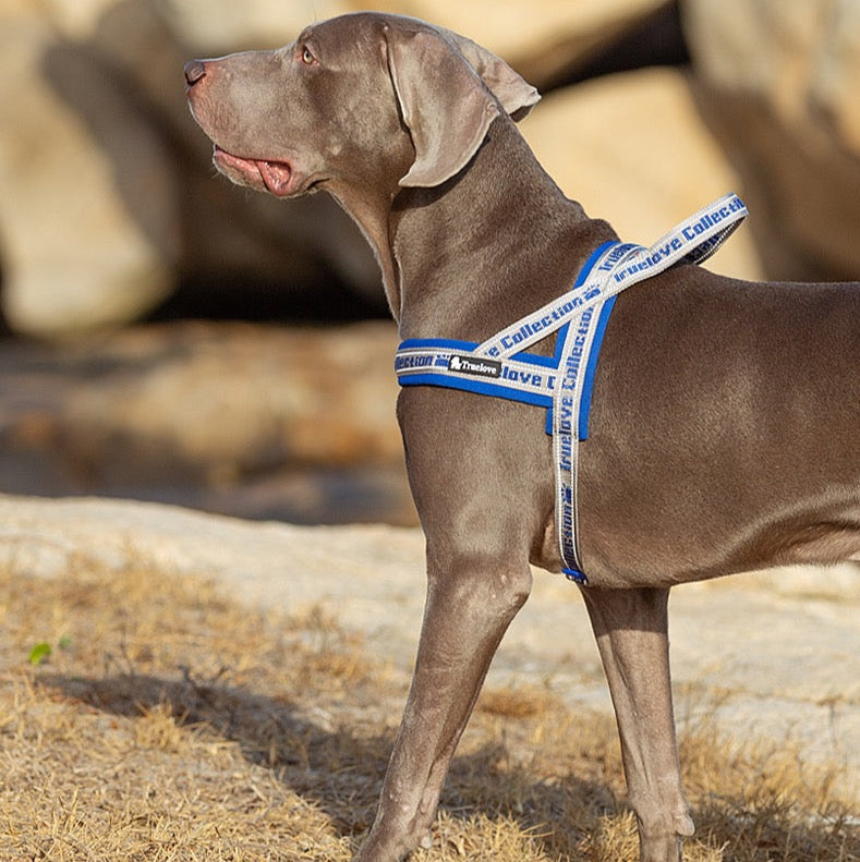 Truelove Pet Harness Neopren Padded Keine Pull Hund Harness Pet Liefert TLH58121