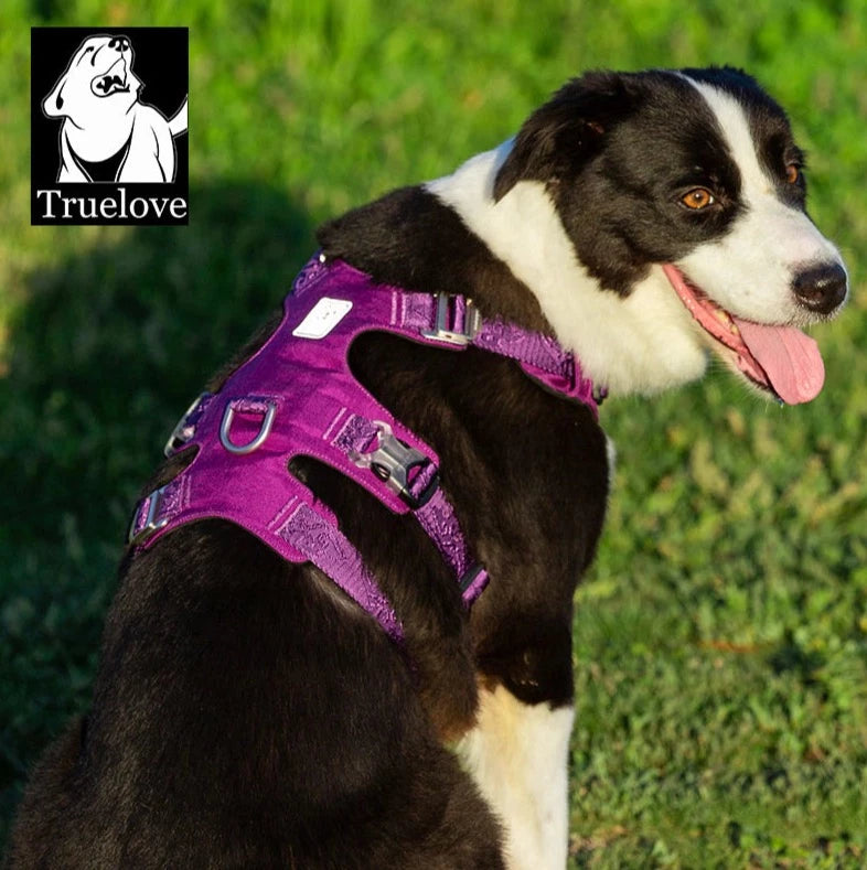 TRUELOVE Pet Nylon Harness Licht-gewicht Doppel-H Form Stickerei 5 Einstellbaren Positionen Mittlere und Große Hund Wasserdicht YH1807