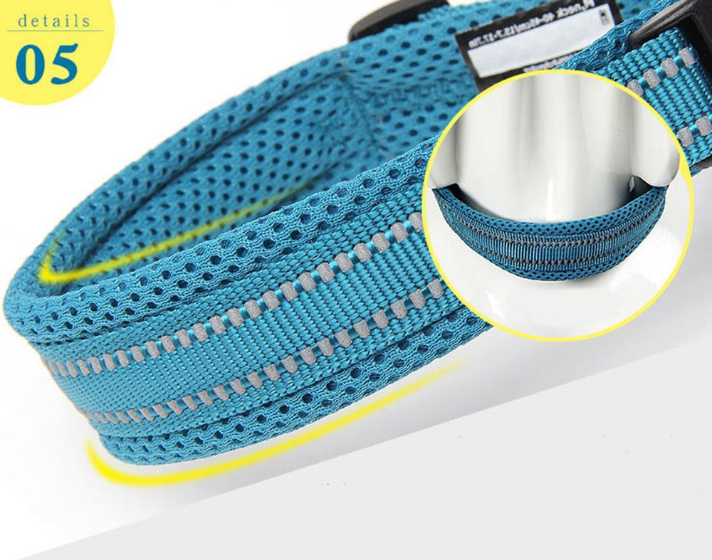 Truelove Haustier Hund Kragen Nylon Einstellbare Gurtband Padded Weiche Reflektierende Durable Heavy Duty Training nach luxus Katze TLC5011