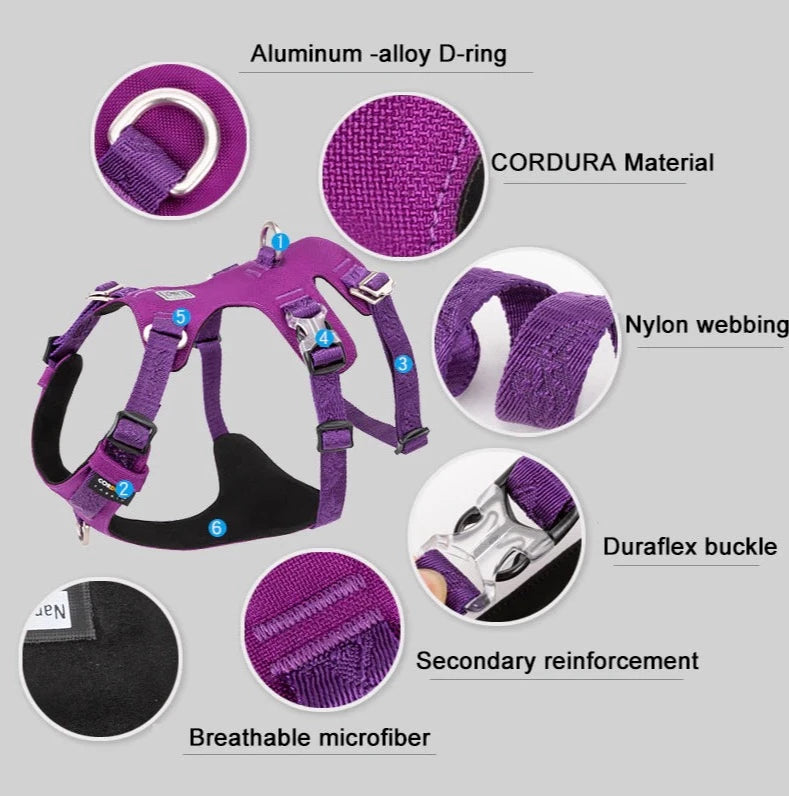 TRUELOVE Pet Nylon Harness Licht-gewicht Doppel-H Form Stickerei 5 Einstellbaren Positionen Mittlere und Große Hund Wasserdicht YH1807