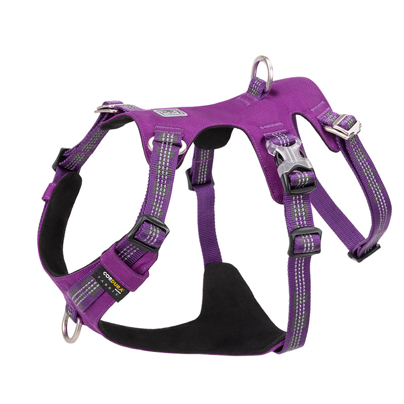 TRUELOVE Pet Harness YH1808