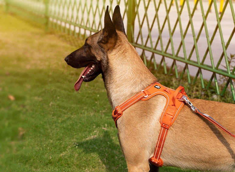 True love Hundegeschirr Nylon reflektieren des Hunde geschirr einstellbar komfortable Steuerung Step-In brillante truelove tlh5654, Hundegeschirr mit 3M Reflexion - Sonderedition