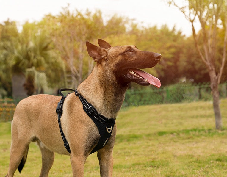 True love Hundegeschirr Nylon reflektieren des Hunde geschirr einstellbar komfortable Steuerung Step-In brillante truelove tlh5654, Hundegeschirr mit 3M Reflexion - Sonderedition