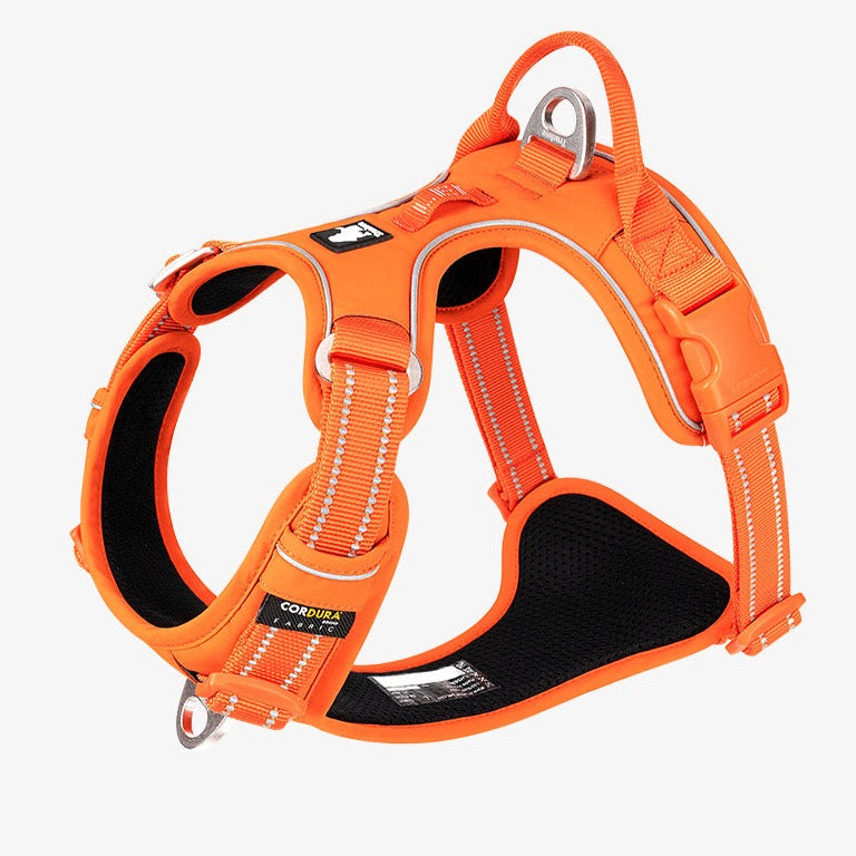 True love Hundegeschirr Nylon reflektieren des Hunde geschirr einstellbar komfortable Steuerung Step-In brillante truelove tlh5654, Hundegeschirr mit 3M Reflexion - Sonderedition