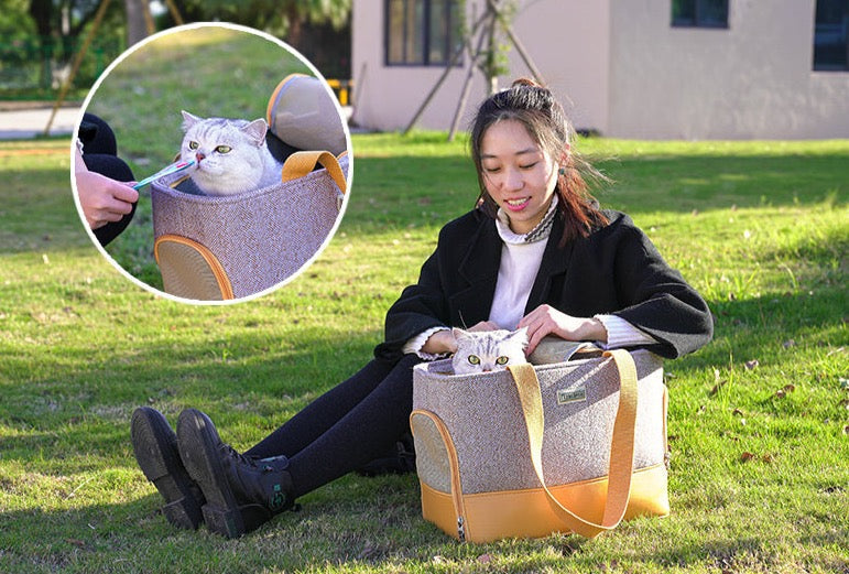 Truelove Haustier Rückhalt Tasche Reisetaschen Hand tragen Wolle Stoff Kam Reiß verschluss Mode Haustier Tragetaschen für Katze Hund U-Bahn tlx5171