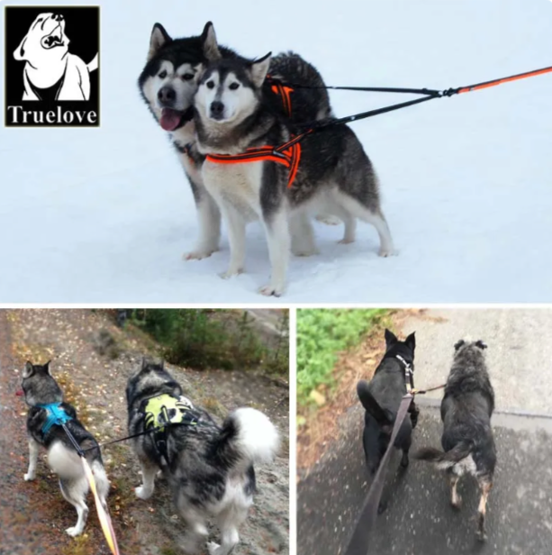 Truelove Reflektierende Nylon Doppel Hund Leine Für Zwei Hunde Koppler Keine Verwicklung Pet Leine Für Alle rasse Training Laufen Dropshipping