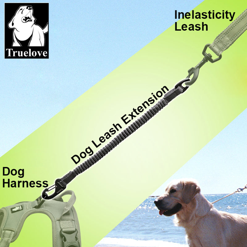 Truelove Kurze Bungee Hund Nylon Leine Seil Für hund kragen Erweiterung Versenkbare Für Alle Rasse Ausbildung Rennen gehen TLL2971