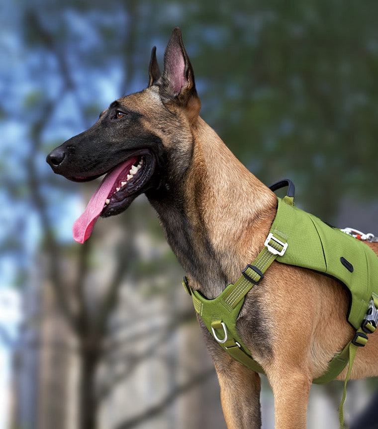 Truelove Hunde rucksack Haustier geschirr Hersteller verstellbarer taktischer Griff Ganzkörper-Hunde weste für Wander training im Freien tlb2251