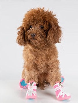 Truelove Mesh Stoff Hundes chuhe Haustier Hundes tiefel wasserdicht reflektierende robuste rutsch feste Sohle rutsch fest im Freien für kleine Hunde s5911