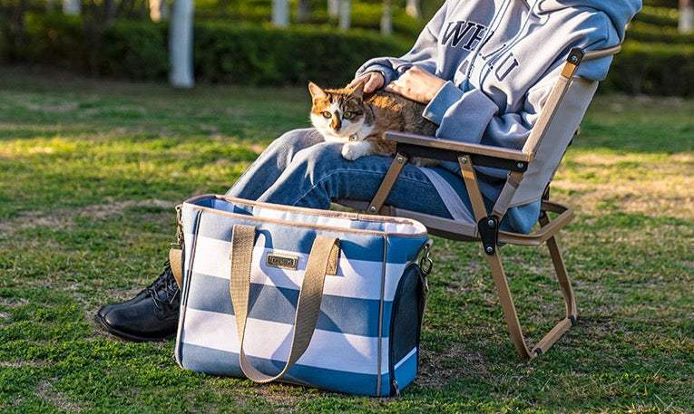 Truelove erweiterbare Katze Welpen träger Rucksack Kleintier hunde mit abnehmbarer Plüsch matratze atmungsaktives Netz geräumig tlx5172