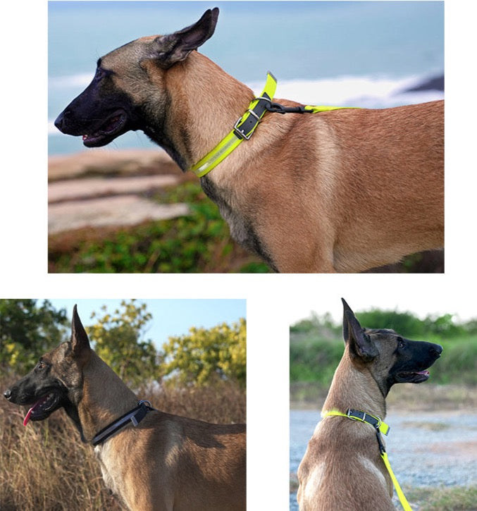Truelove Haustier halsband wasserdicht geruchs neutral langlebig verstellbar PVC Polyester weich reflektierende Stoffst reifen grundlegende Hunde halsband tlc5521