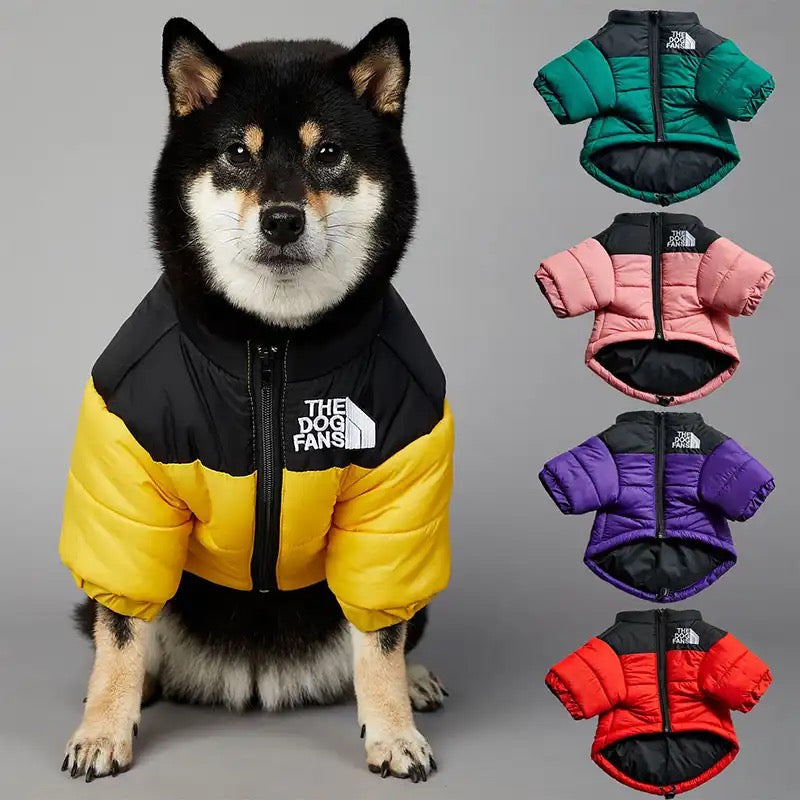 Hundedaunenjacke, Dobermann, Wald, Forest, dog jacket, northern face, husky