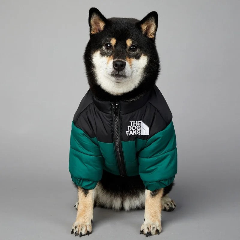 Hundedaunenjacke, Dobermann, Wald, Forest, dog jacket, northern face, husky, true love, for dogs