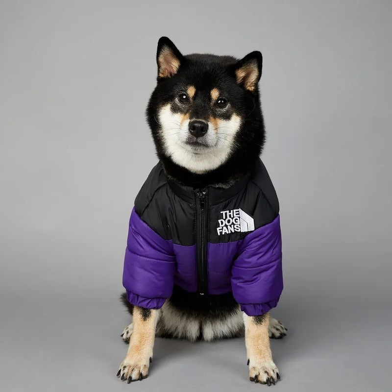 Hundedaunenjacke, Dobermann, Wald, Forest, dog jacket, northern face, husky, true love, for dogs
