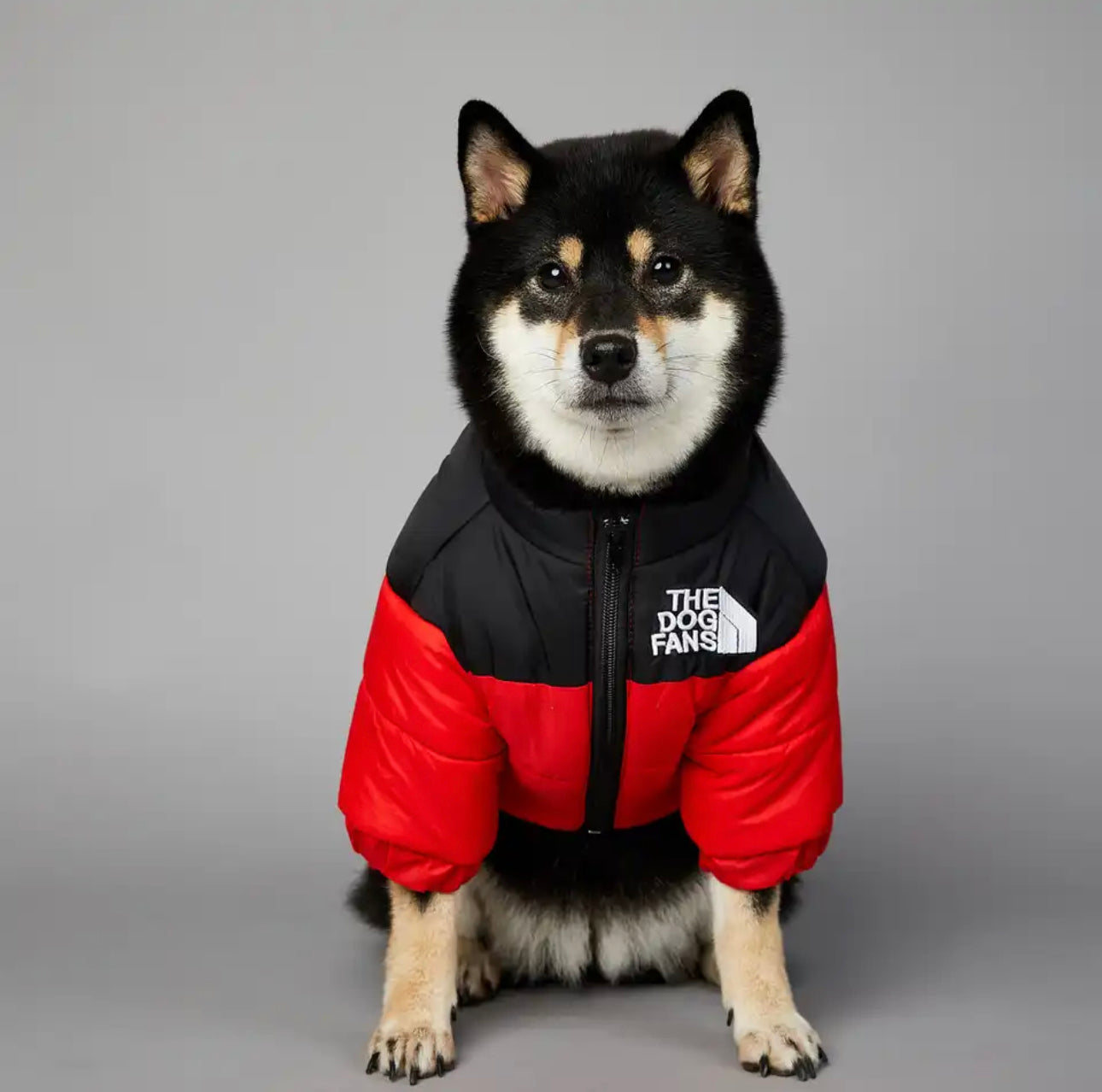 Hundedaunenjacke, Dobermann, Wald, Forest, dog jacket, northern face, husky, true love, for dogs
