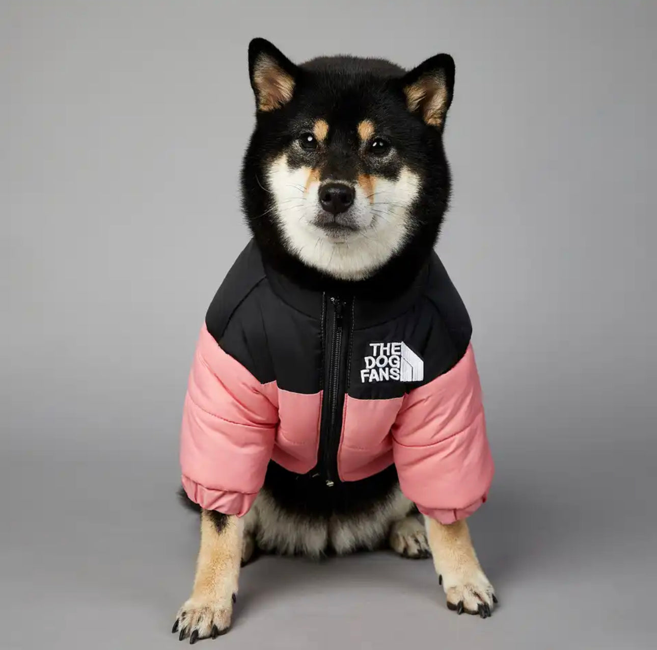 Hundedaunenjacke, Dobermann, Wald, Forest, dog jacket, northern face, husky