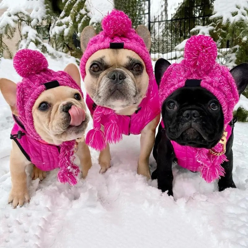Warmhaltende gestrickte Hundemütze, Frenchie, French bulldog, true love for dogs, Pink, grau,