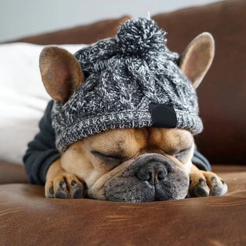 Warmhaltende gestrickte Hundemütze, Frenchie, French bulldog, true love for dogs