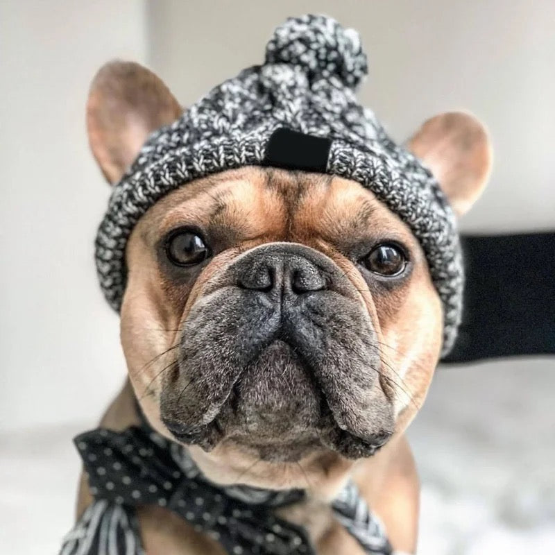 Warmhaltende gestrickte Hundemütze, Frenchie, French bulldog, true love for dogs, Pink, grau,