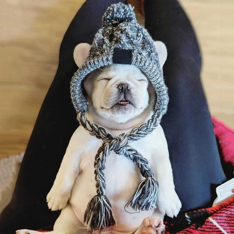 Warmhaltende gestrickte Hundemütze, Frenchie, French bulldog, true love for dogs, Pink, grau,