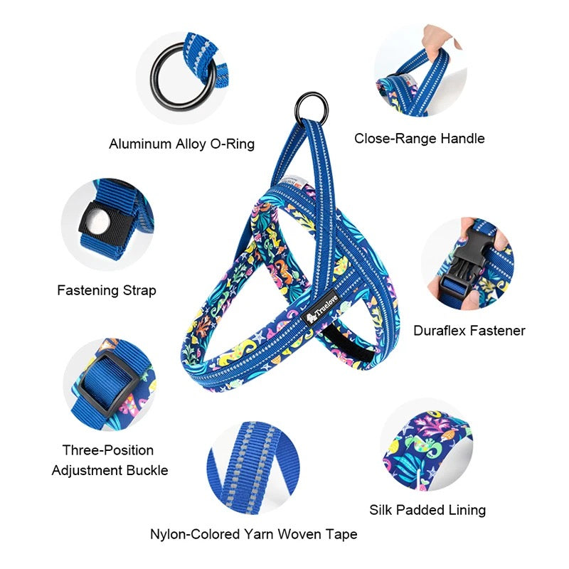 Norwegergeschirr Limited Sommer Edition aus softem Air Mesh True Love for dogs