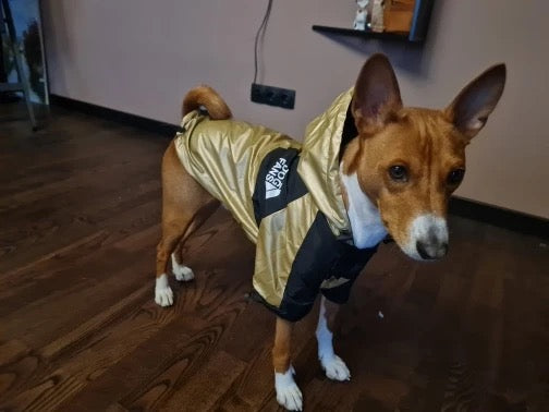 Wasserdichte Hundejacke mit Kapuze „Space Edition“, gold metallic, Rot, schwarz