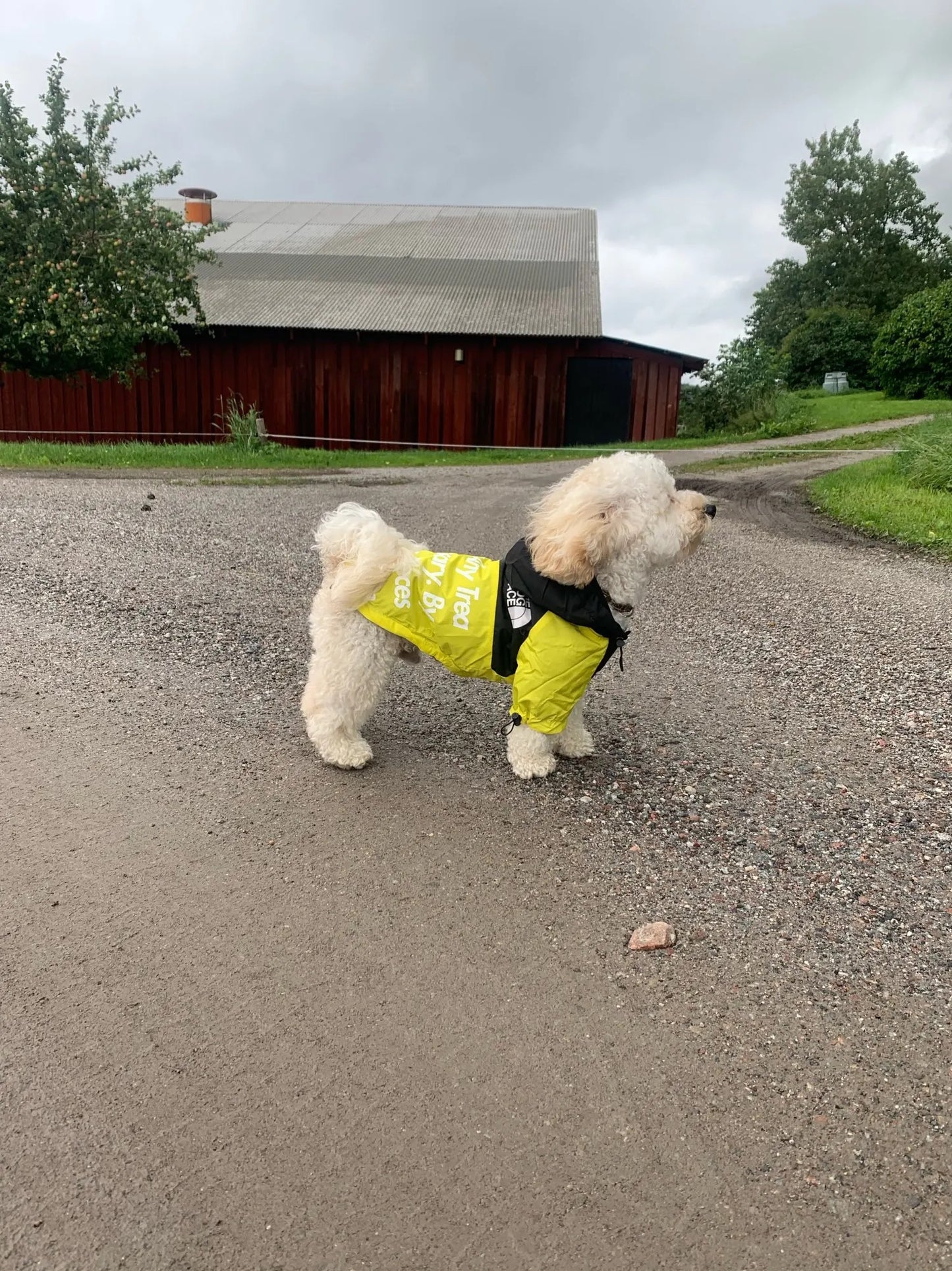 Wasserdichte Hundejacke mit Kapuze „Reward of Treats“