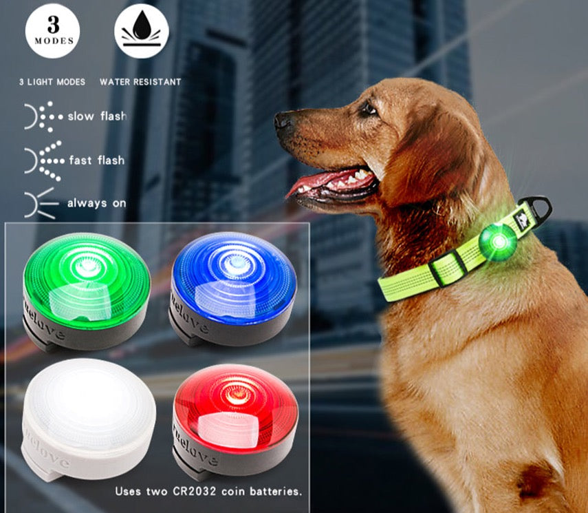 Truelove Sicherheit LED Licht für Pet Tragen Kragen Harness Rucksack mit Wasserdicht und Lange Kontinuierliche Batterie Lebensdauer TLD19101