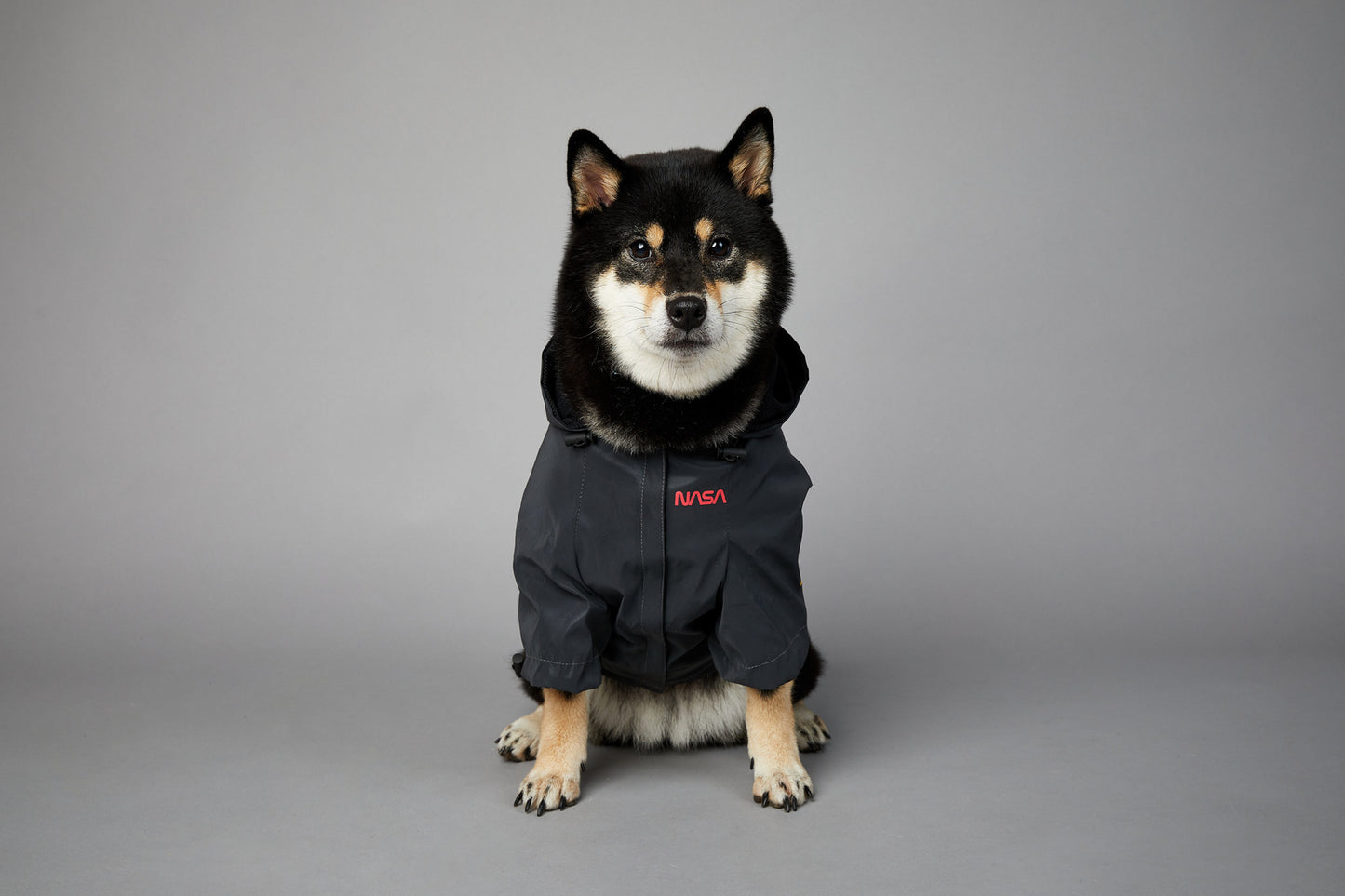 In unserem luxuriösen Regenmantel sieht Ihr Hund aus wie ein echter Astronaut - bereit für Weltraumspaziergänge und Spaziergänge im Regen! 🌧️🐾 #LuxusHundekleidung #Hundebekleidung #SpaceSuit #HundeKostüm