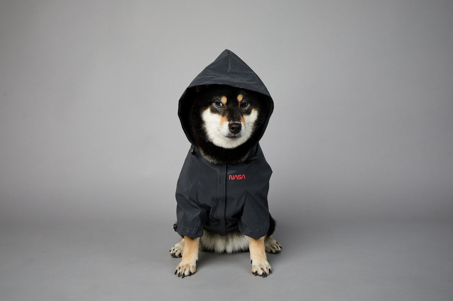 In unserem luxuriösen Regenmantel sieht Ihr Hund aus wie ein echter Astronaut - bereit für Weltraumspaziergänge und Spaziergänge im Regen! 🌧️🐾 #LuxusHundekleidung #Hundebekleidung #SpaceSuit #HundeKostüm