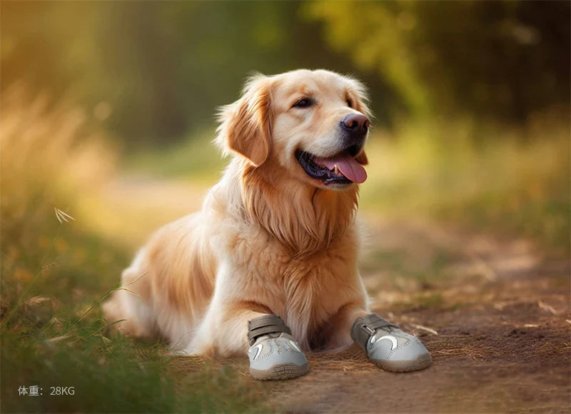 Truelove atmungsaktive Hundes chuhe mit TPR-Sohle flexible schütz bare weiche Laufsohle klassische Outdoor-Hundes tiefel alle Rasse 4 Stück tls3962