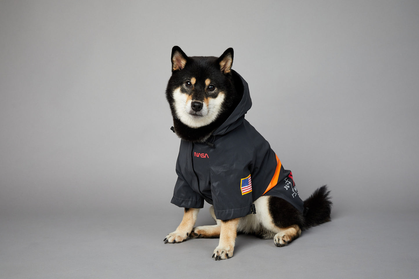 In unserem luxuriösen Regenmantel sieht Ihr Hund aus wie ein echter Astronaut - bereit für Weltraumspaziergänge und Spaziergänge im Regen! 🌧️🐾 #LuxusHundekleidung #Hundebekleidung #SpaceSuit #HundeKostüm