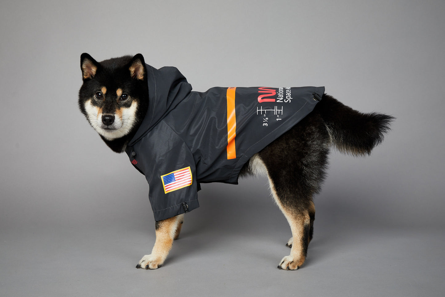 In unserem luxuriösen Regenmantel sieht Ihr Hund aus wie ein echter Astronaut - bereit für Weltraumspaziergänge und Spaziergänge im Regen! 🌧️🐾 #LuxusHundekleidung #Hundebekleidung #SpaceSuit #HundeKostüm