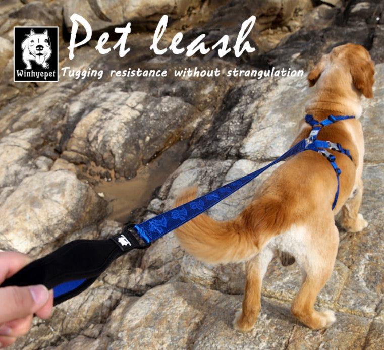 TRUELOVE Pet Leine Nylon Zink-legierung Haken Karabiner Hund Zubehör Seil Blei Medium Big Wilden Reise Pet Liefert YL1831