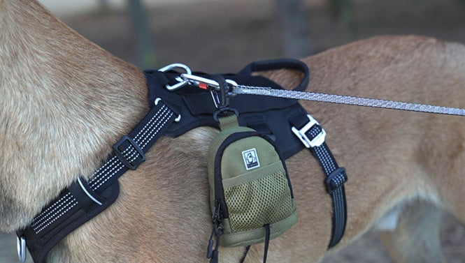Truelove pet multifunktion aler kot beutel halter für leine pet dog treat bag trainings beutel seiten beutel spender hüft beutel tlb2011