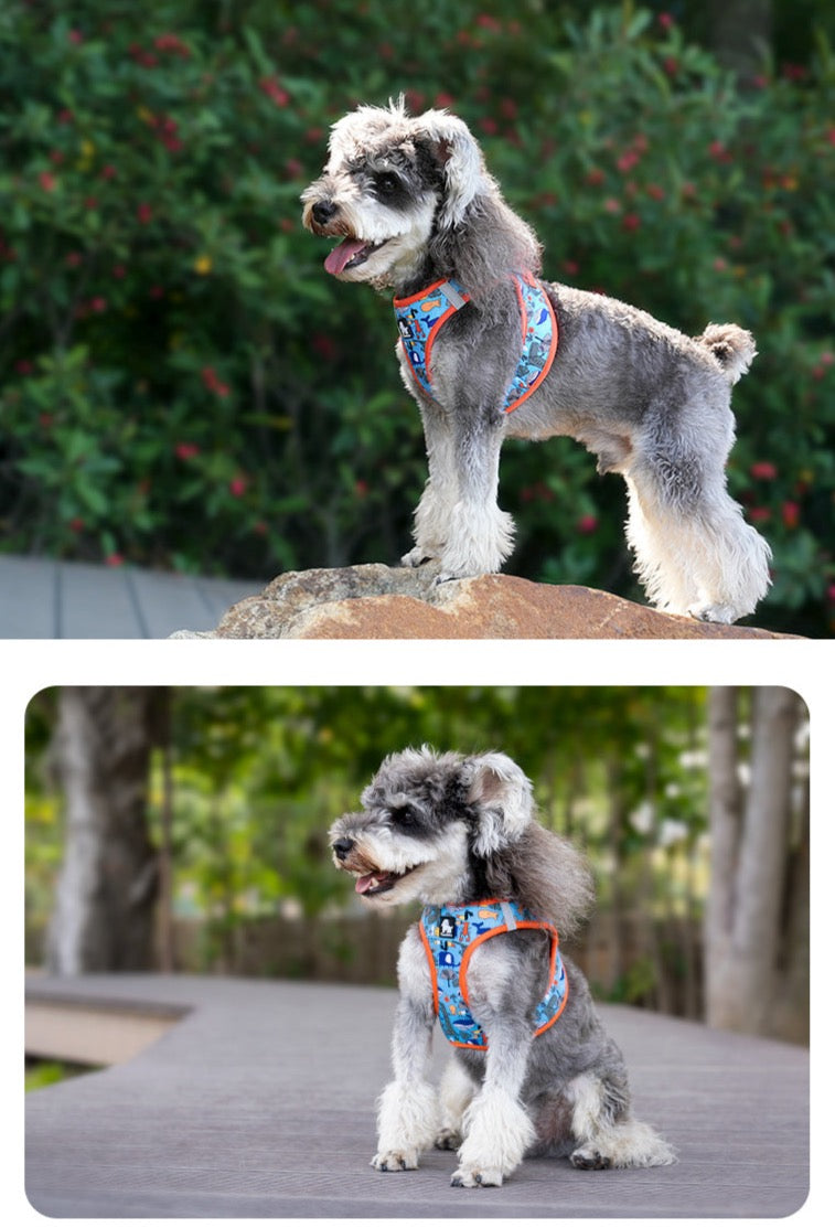 Truelove Haustier geschirr Soft Air Mesh verstellbare reflektierende Haustier weste kleine und mittlere Rassen kein Zug verstellbares Hunde geschirr tlh3016