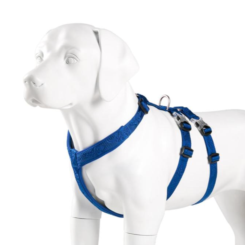 TRUELOVE Pet Harness Doppel-H Nylon Personalisierte Hund Harness KEINE PULL Reflektierende Atmungsaktive Einstellbare YH1803