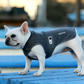 Truelove anti bakterieller Haustier mantel neues Design Haustier kleidung weiche atmungsaktive Hunde mantel verstellbare Schnalle nachlässiges Material tlg2521