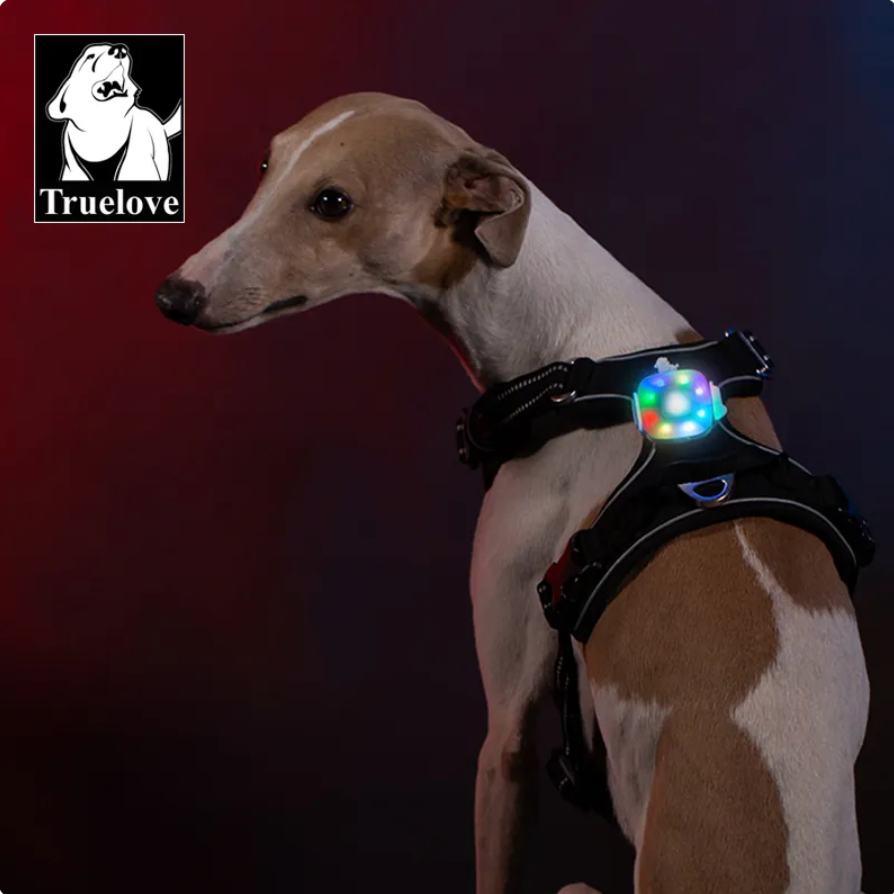 Sicherheits-LED-Licht V3 Hunde Geschirr nachtspaziergang