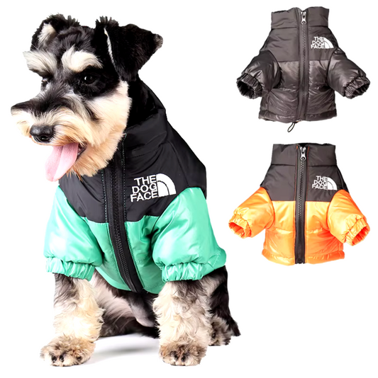 Hundewinterjacke "FOUR"